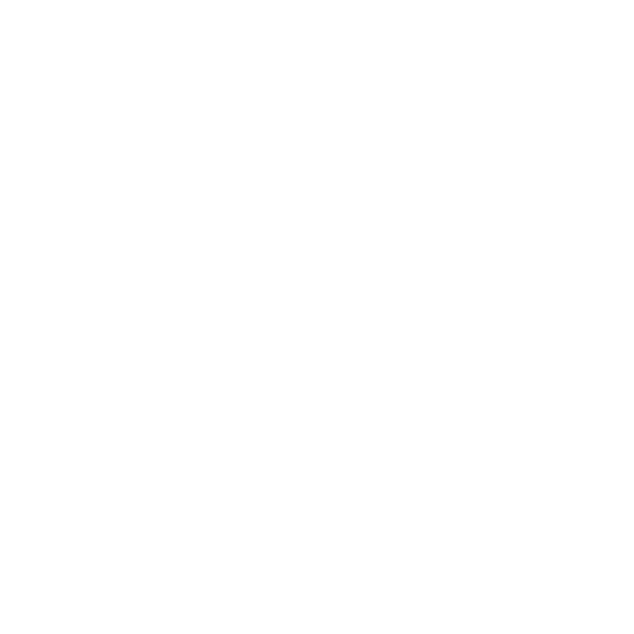 Services Icon_Delivery – 03 – white Services Icon_Delivery - 03 - white
