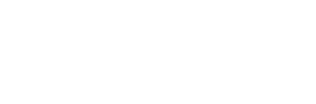 Nexpa Logo